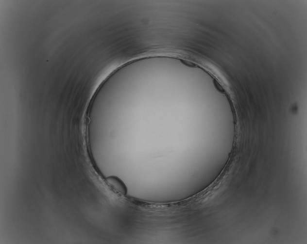 X0000091690907200708231128