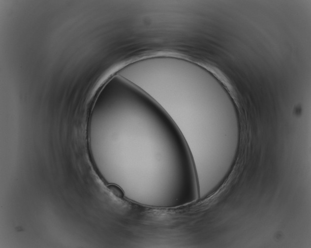 X0000091690910200708231127
