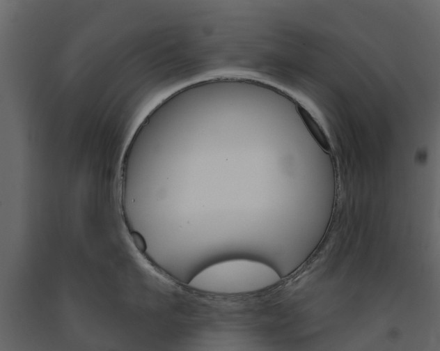 X0000091690911200708231127