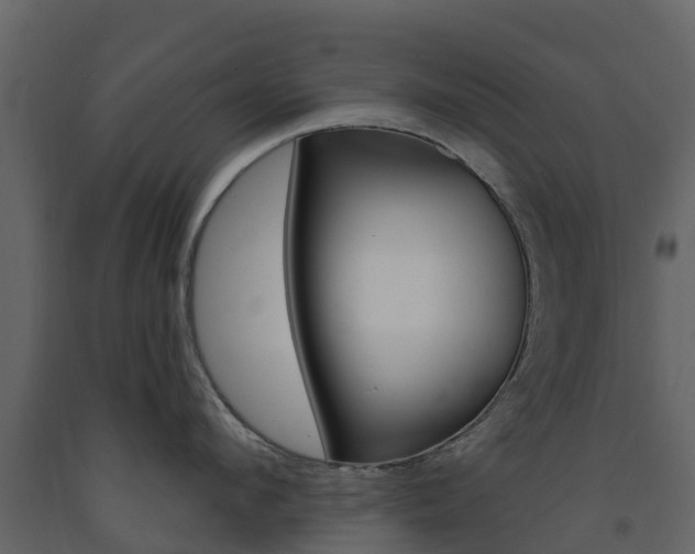 X0000091690912200708231127