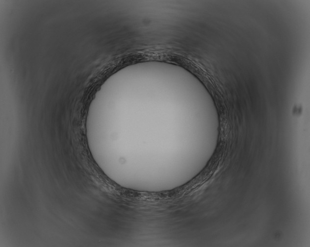 X0000091690913200708231127
