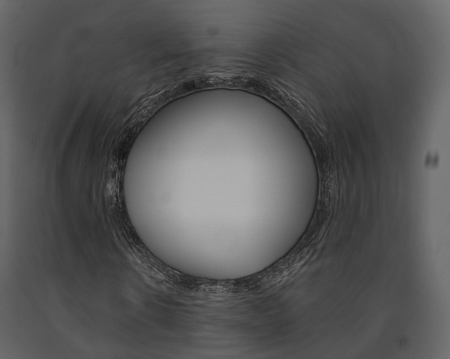 X0000091690914200708231127