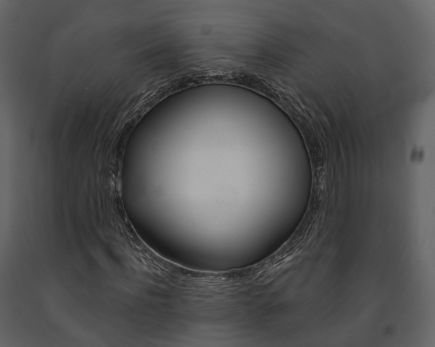 X0000091690916200708231127