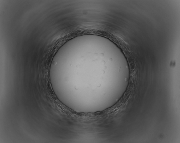 X0000091690917200708231127