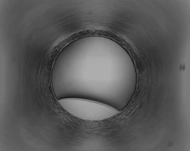 X0000091690919200708231127