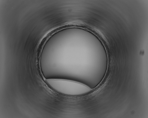 X0000091690923200708231127