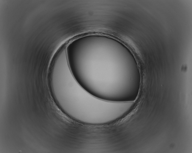 X0000091690924200708231127