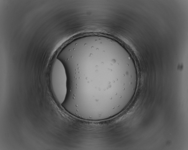 X0000091690925200708231127
