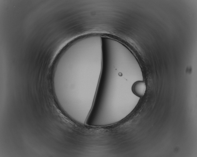 X0000091690926200708231127