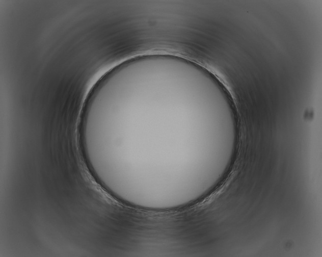 X0000091690928200708231127