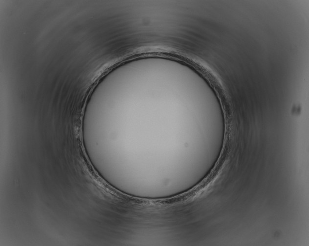 X0000091690929200708231127