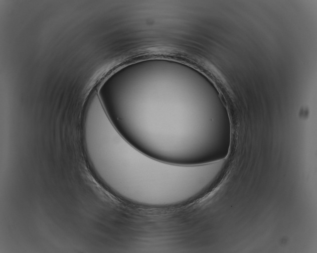 X0000091690930200708231127