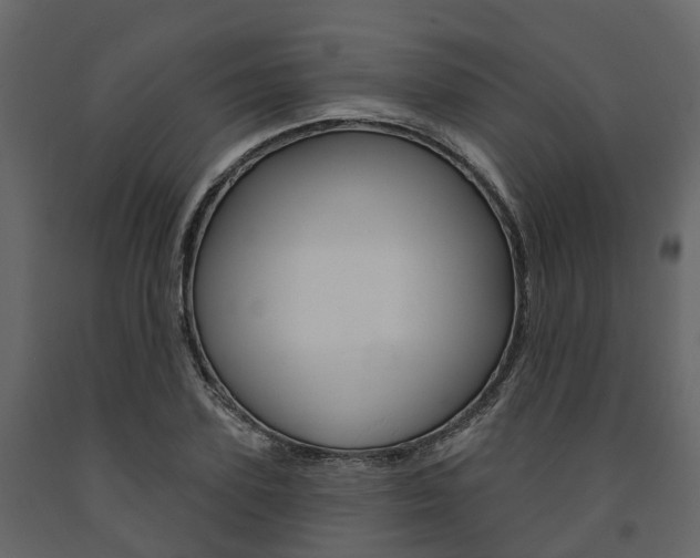 X0000091690931200708231127