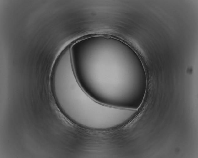 X0000091690932200708231127