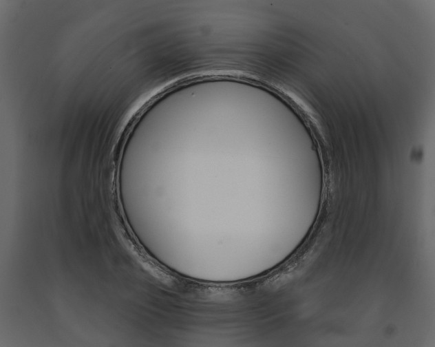 X0000091690933200708231127