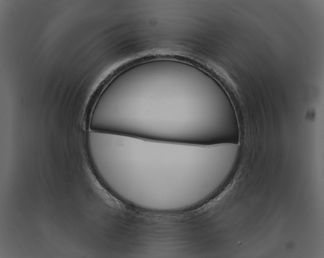 X0000091690934200708231127