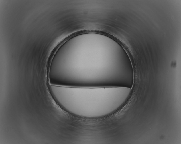 X0000091690935200708231127