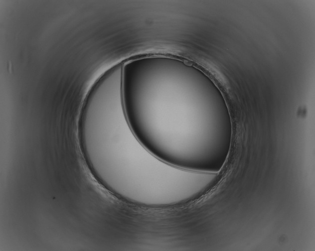 X0000091690936200708231127