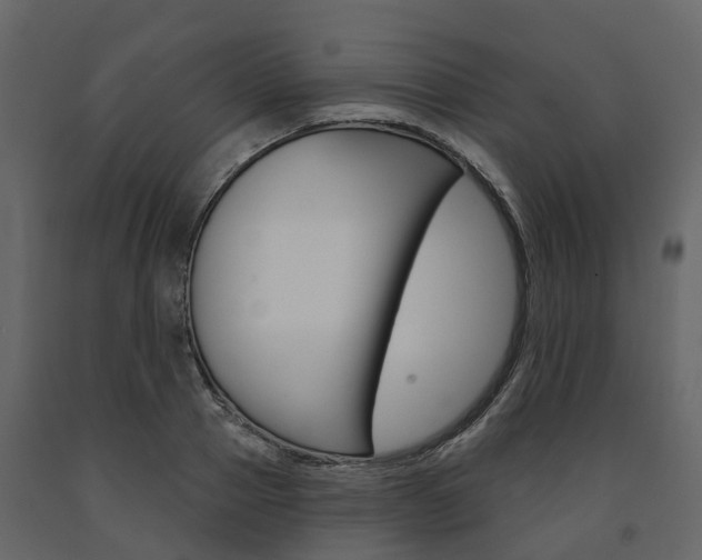 X0000091690937200708231127