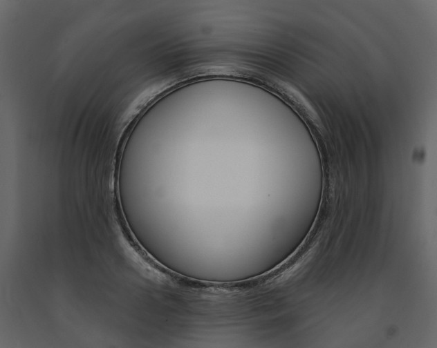 X0000091690938200708231127