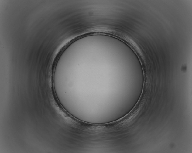 X0000091690939200708231127
