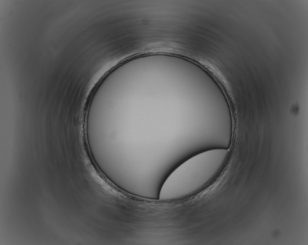 X0000091690941200708231127