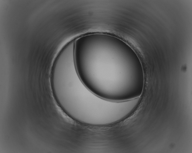 X0000091690942200708231127