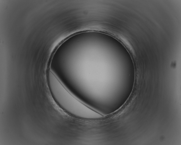 X0000091690944200708231127