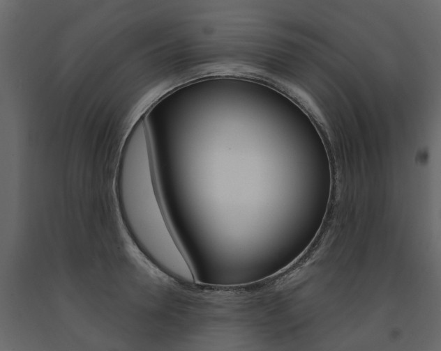 X0000091690946200708231127