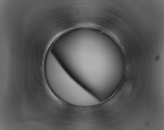 X0000091690947200708231127