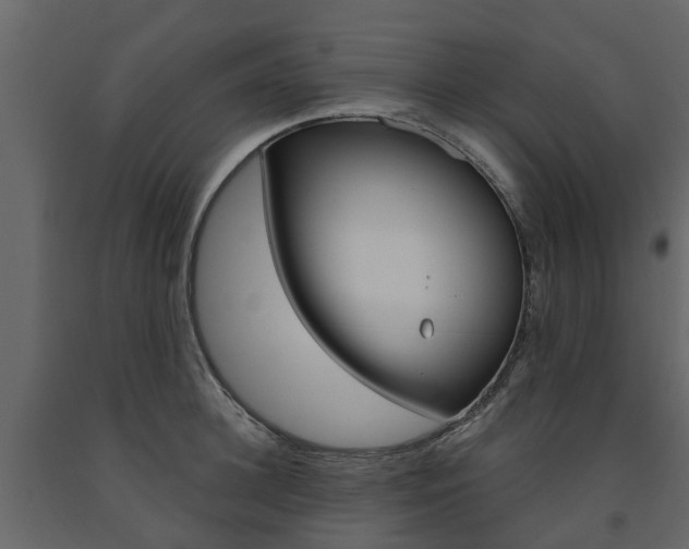 X0000091690948200708231127