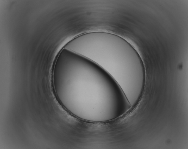 X0000091690949200708231127