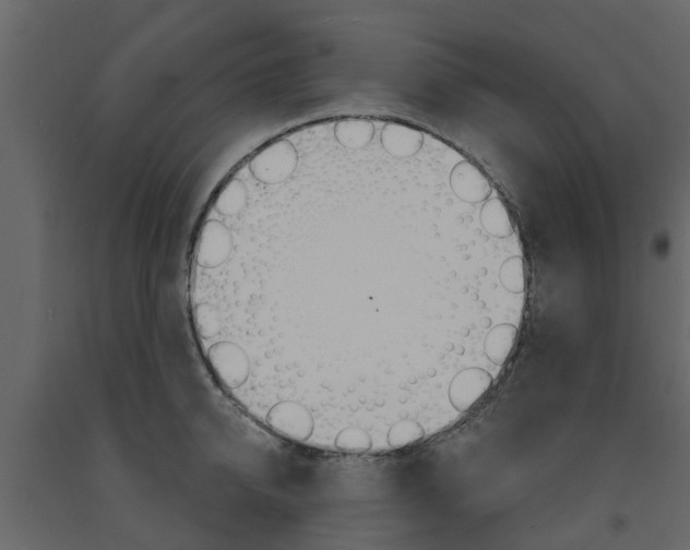 X0000091690950200708231127