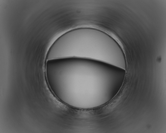 X0000091690951200708231127