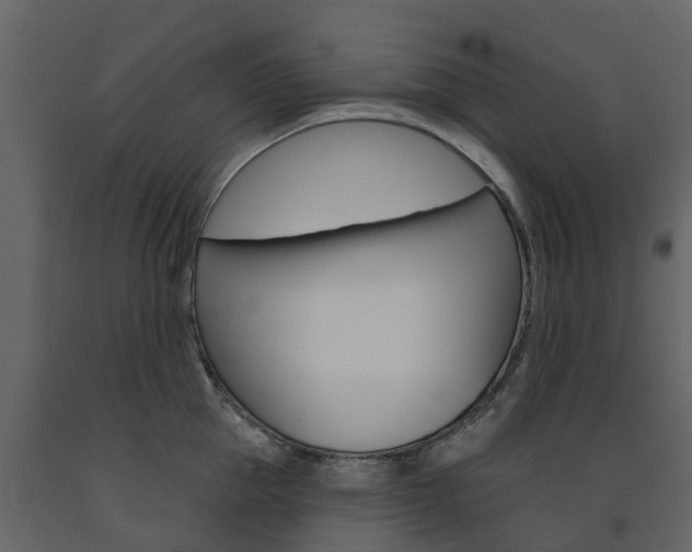 X0000091690953200708231127