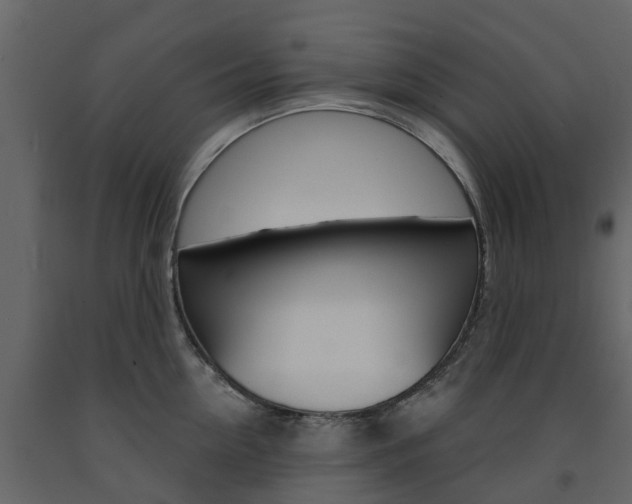 X0000091690954200708231127
