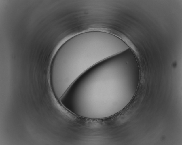 X0000091690955200708231127