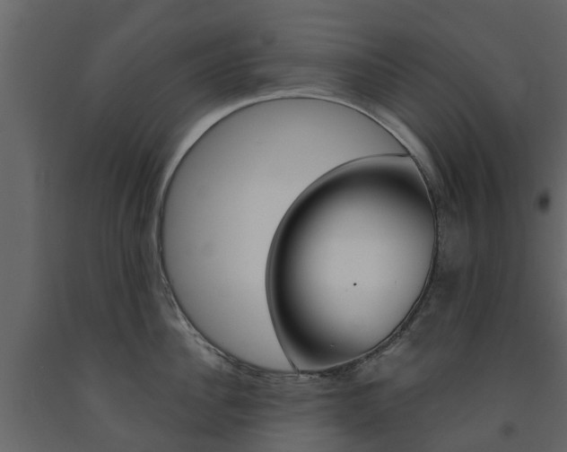 X0000091690956200708231127