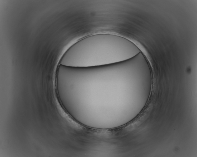 X0000091690957200708231127