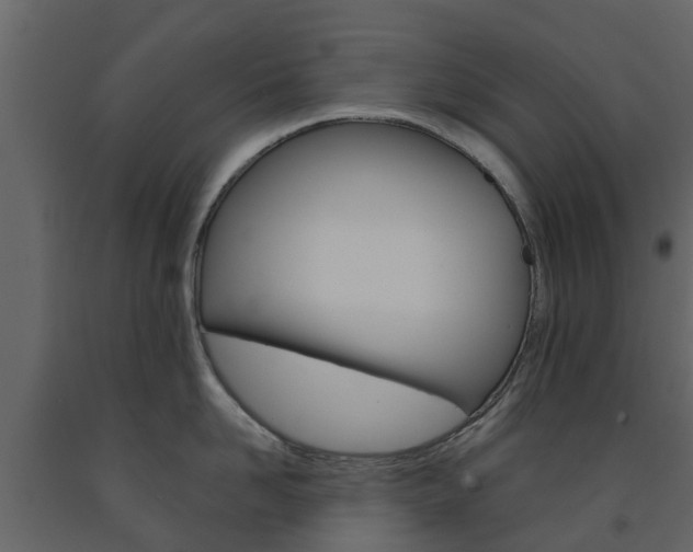 X0000091690958200708231127