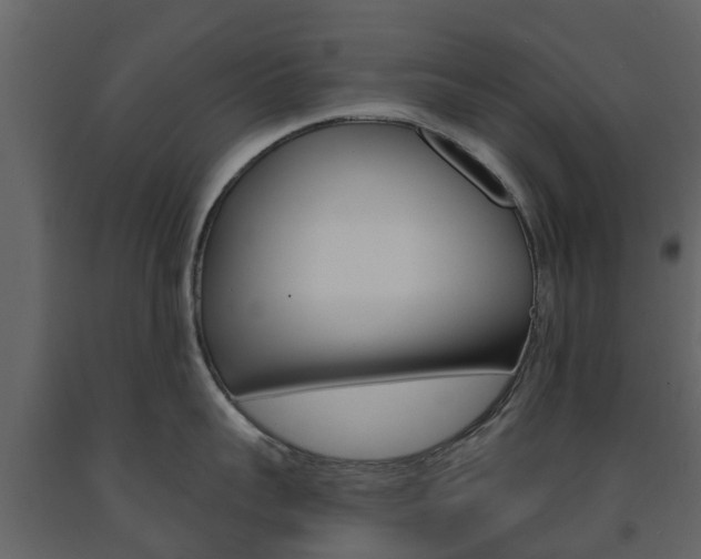X0000091690959200708231127