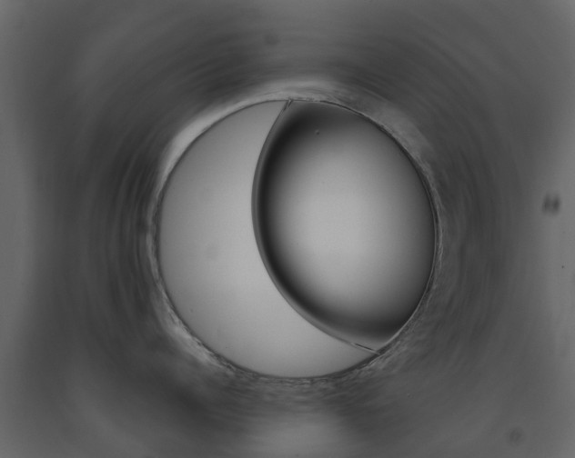 X0000091690960200708231127