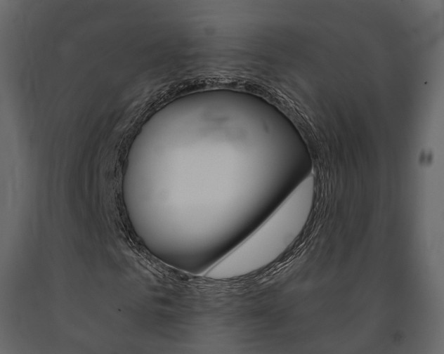 X0000091690961200708231127