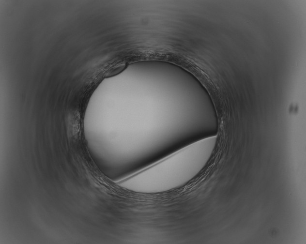 X0000091690963200708231127