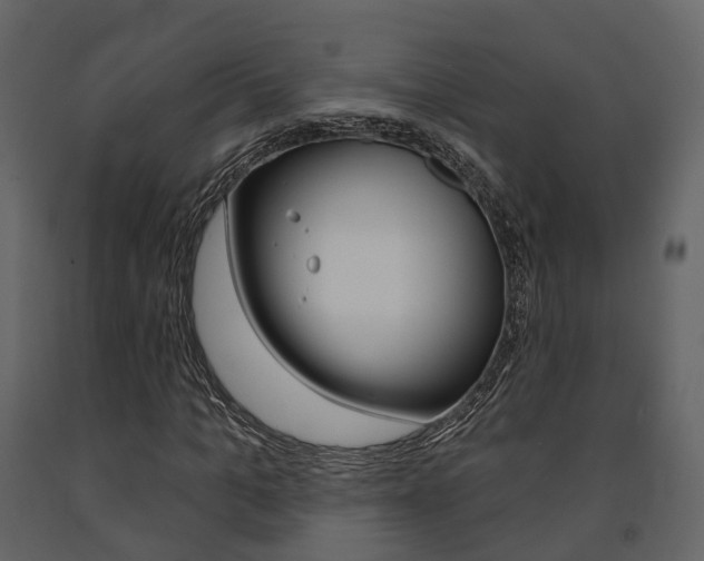 X0000091690965200708231127
