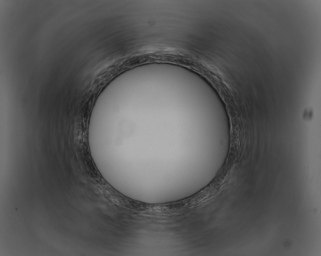 X0000091690966200708231127