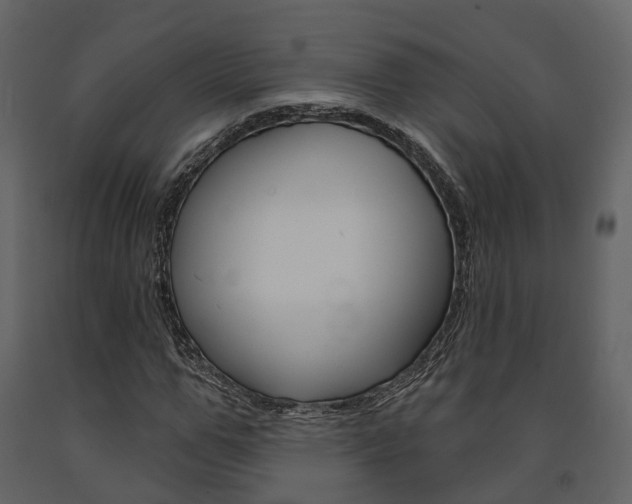 X0000091690967200708231127