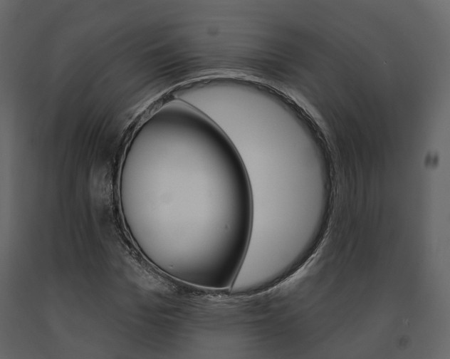 X0000091690969200708231127