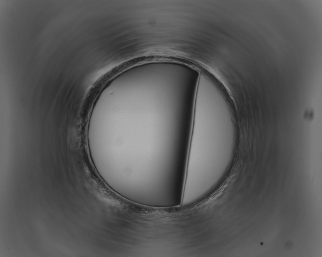 X0000091690971200708231127