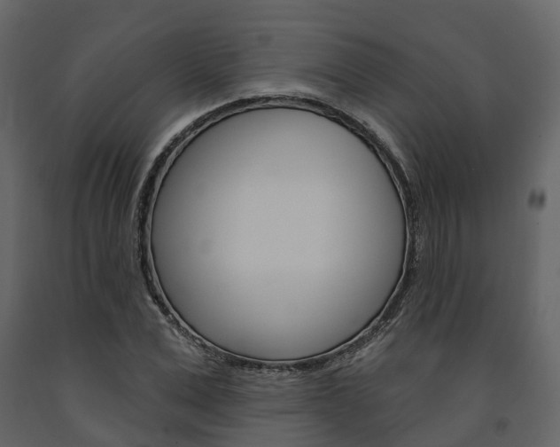 X0000091690975200708231127